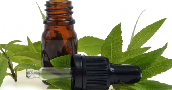 קונספט CBD